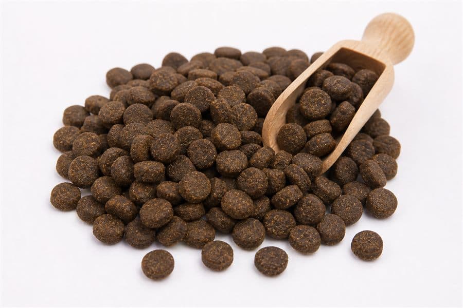Floating Fish Feed